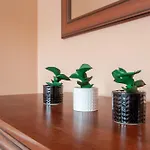 아파트 Apartserwis Orkana Standard 자코파네