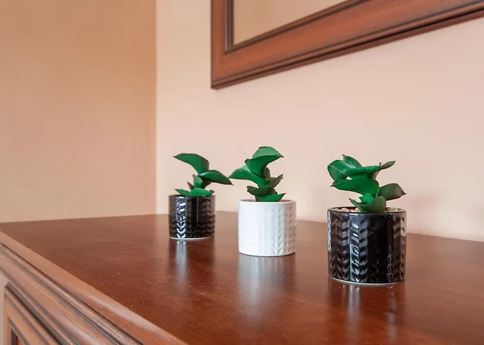 Apartament Apartserwis Orkana Standard Zakopane